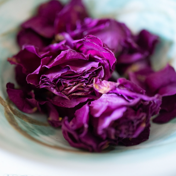 Blooming Together: The Growth of a Relationship